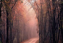 32岁格策凌空斩，1-0，德甲第4双杀德甲5冠王，一夜升至第3.